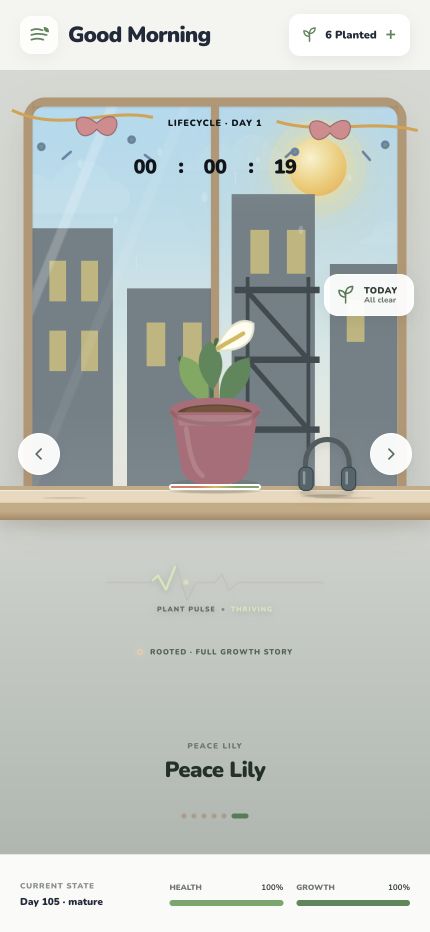 A mature plant shown in Sprout